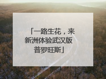 一路生花，来新洲体验武汉版普罗旺斯