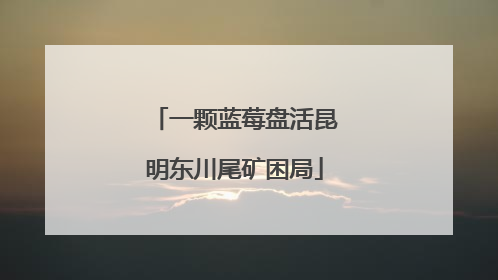 一颗蓝莓盘活昆明东川尾矿困局
