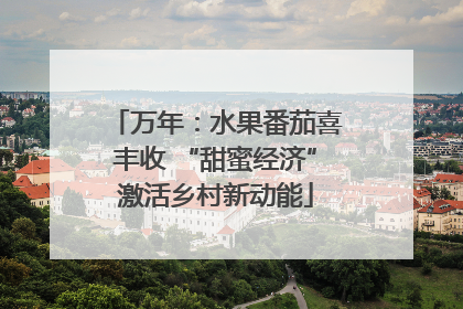 万年：水果番茄喜丰收 “甜蜜经济”激活乡村新动能