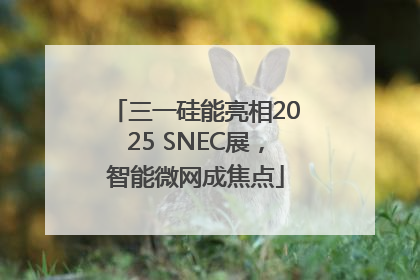 三一硅能亮相2025 SNEC展，智能微网成焦点