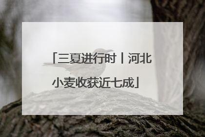 三夏进行时丨河北小麦收获近七成