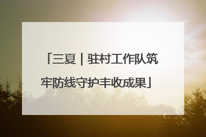 三夏｜驻村工作队筑牢防线守护丰收成果