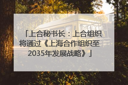 上合秘书长：上合组织将通过《上海合作组织至2035年发展战略》