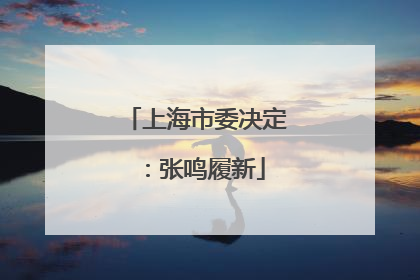 上海市委决定：张鸣履新