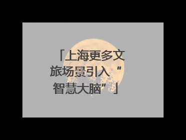 上海更多文旅场景引入“智慧大脑”