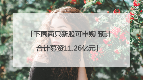 下周两只新股可申购 预计合计募资11.26亿元