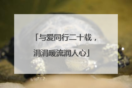 与爱同行二十载，涓涓暖流润人心