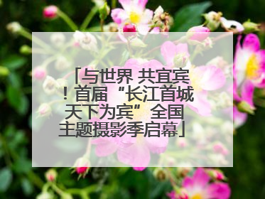 与世界 共宜宾！首届“长江首城 天下为宾”全国主题摄影季启幕