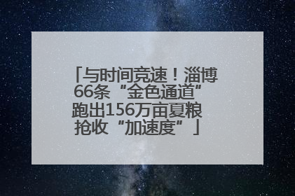 与时间竞速！淄博66条“金色通道”跑出156万亩夏粮抢收“加速度”