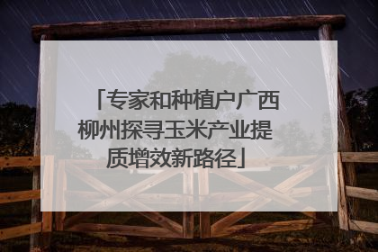 专家和种植户广西柳州探寻玉米产业提质增效新路径
