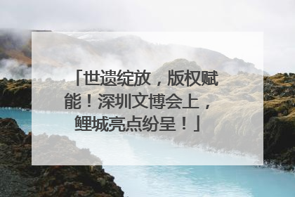 世遗绽放，版权赋能！深圳文博会上，鲤城亮点纷呈！