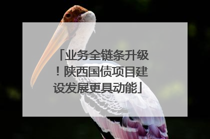 业务全链条升级！陕西国债项目建设发展更具动能