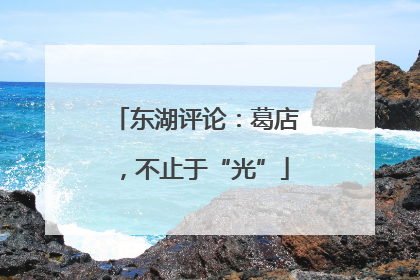 东湖评论：葛店，不止于“光”