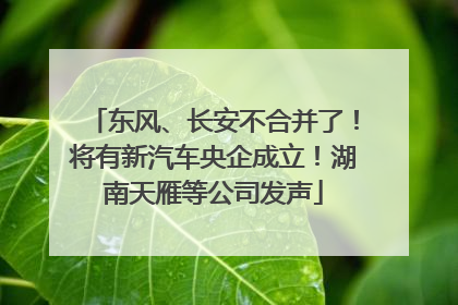 东风、长安不合并了！将有新汽车央企成立！湖南天雁等公司发声