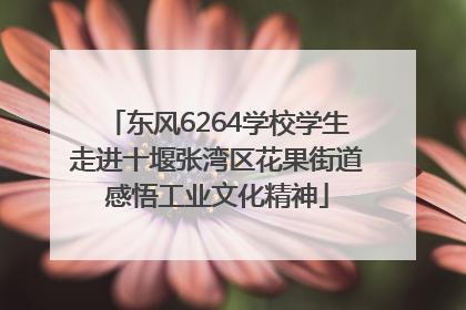 东风6264学校学生走进十堰张湾区花果街道感悟工业文化精神