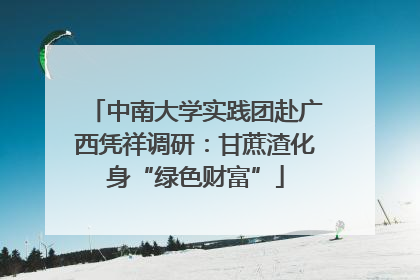 中南大学实践团赴广西凭祥调研：甘蔗渣化身“绿色财富”