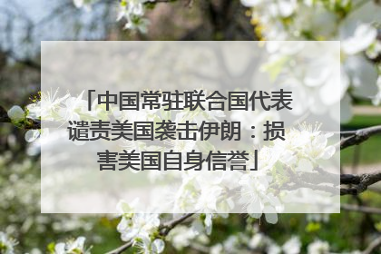 中国常驻联合国代表谴责美国袭击伊朗：损害美国自身信誉