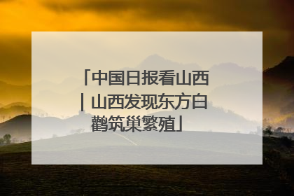 中国日报看山西｜山西发现东方白鹳筑巢繁殖