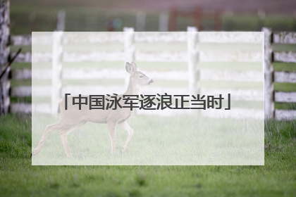 中国泳军逐浪正当时
