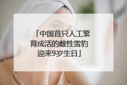 中国首只人工繁育成活的雌性雪豹迎来9岁生日