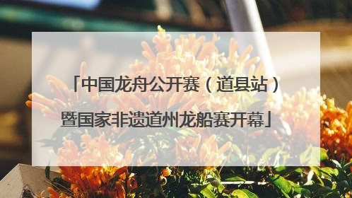 中国龙舟公开赛（道县站）暨国家非遗道州龙船赛开幕