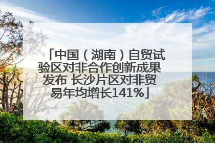 中国（湖南）自贸试验区对非合作创新成果发布 长沙片区对非贸易年均增长141%