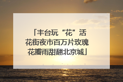 丰台玩“花”活 花街夜市百万片玫瑰花瓣雨甜翻北京城