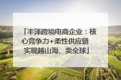 丰泽跨境电商企业：核心竞争力+柔性供应链 实现越山海、卖全球