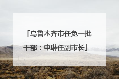 乌鲁木齐市任免一批干部：申琳任副市长