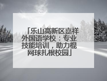 乐山高新区嘉祥外国语学校：专业技能培训，助力棍网球扎根校园