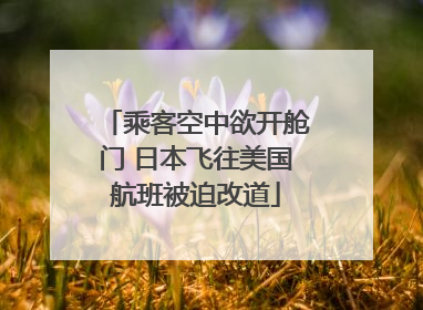 乘客空中欲开舱门 日本飞往美国航班被迫改道