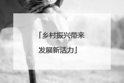 乡村振兴带来发展新活力