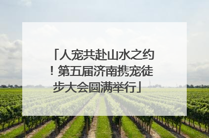 人宠共赴山水之约！第五届济南携宠徒步大会圆满举行