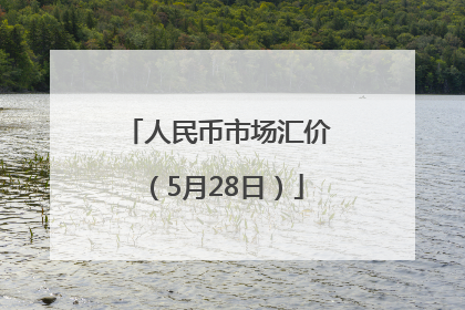 人民币市场汇价（5月28日）
