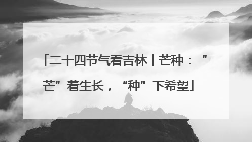 二十四节气看吉林丨芒种：“芒”着生长，“种”下希望