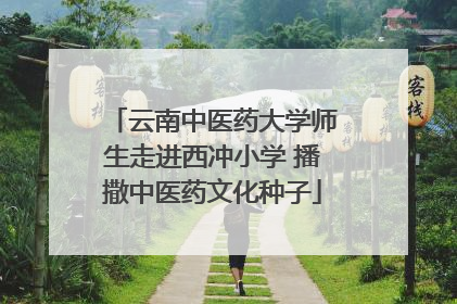 云南中医药大学师生走进西冲小学 播撒中医药文化种子