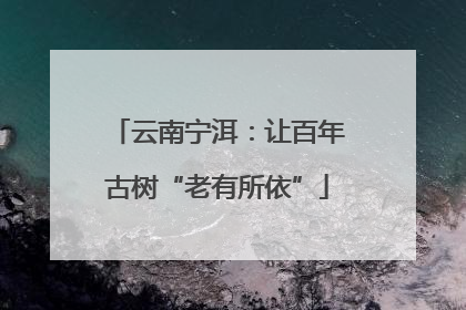 云南宁洱：让百年古树“老有所依”