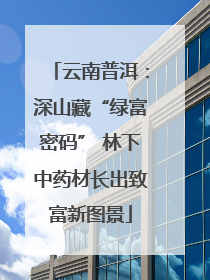 云南普洱：深山藏“绿富密码” 林下中药材长出致富新图景