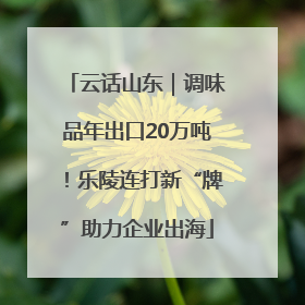 云话山东｜调味品年出口20万吨！乐陵连打新“牌”助力企业出海