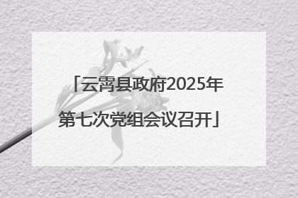 云霄县政府2025年第七次党组会议召开