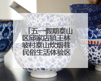五一假期泰山区邱家店镇王林坡村泰山炊烟巷民俗生活体验区人气爆棚
