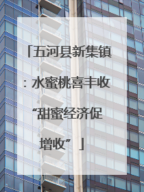 五河县新集镇：水蜜桃喜丰收 “甜蜜经济促增收”