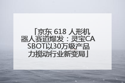 京东 618 人形机器人赛道爆发：灵宝CASBOT以30万级产品力搅动行业新变局