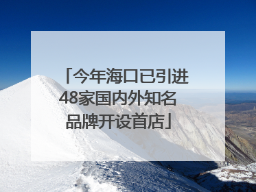 今年海口已引进48家国内外知名品牌开设首店