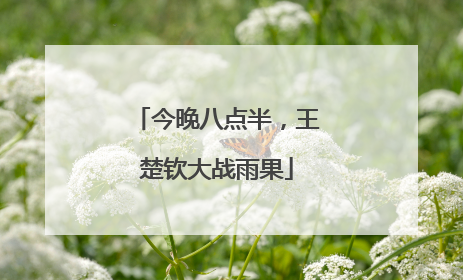今晚八点半，王楚钦大战雨果