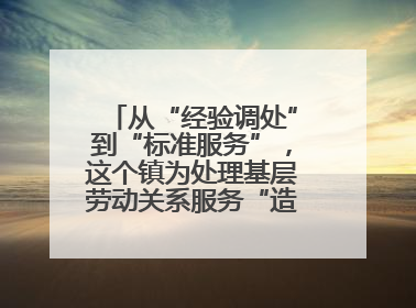 从“经验调处”到“标准服务”，这个镇为处理基层劳动关系服务“造标尺”