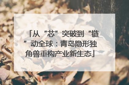 从“芯”突破到“链”动全球：青岛隐形独角兽重构产业新生态