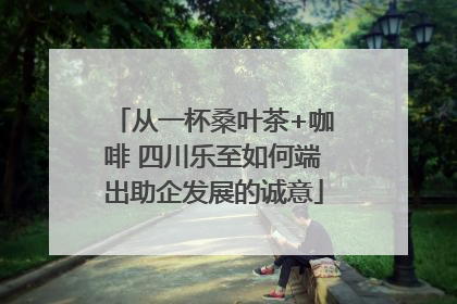 从一杯桑叶茶+咖啡 四川乐至如何端出助企发展的诚意