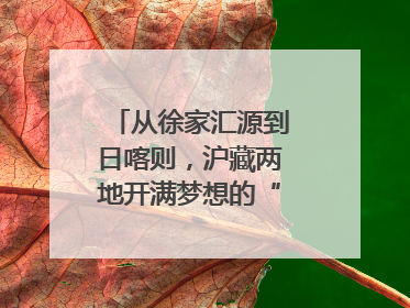 从徐家汇源到日喀则，沪藏两地开满梦想的“格桑花”！
