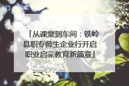 从课堂到车间：铁岭县职专师生企业行开启职业启蒙教育新篇章